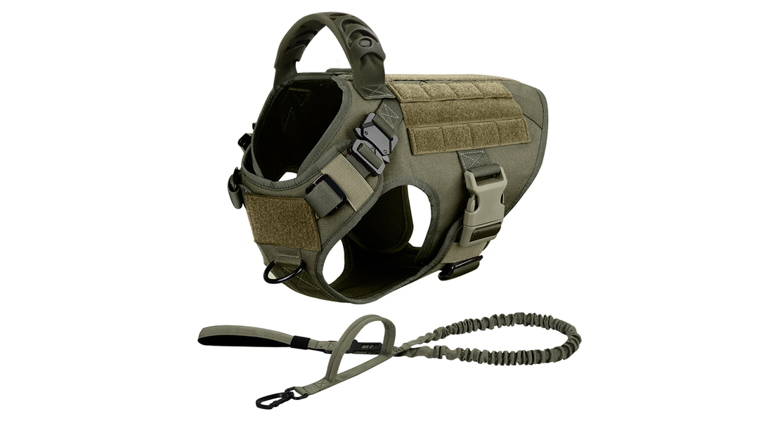 How to Choose a Tactical Dog Harness - And Why Your Active Dog Deserves One