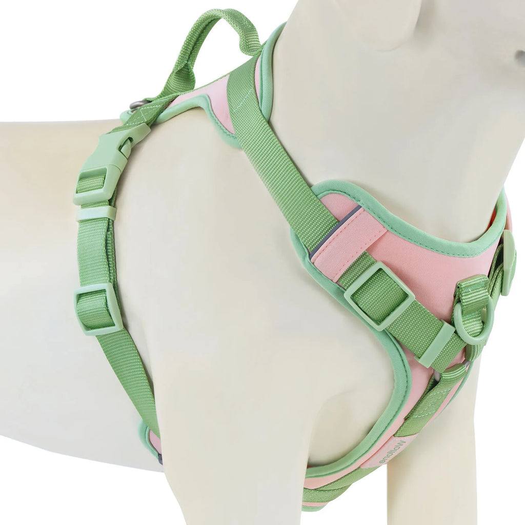 Luxury No-Pull Dog Harness | Adjustable Chest Strap | Personalized | S–XL