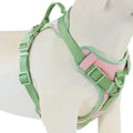 Luxury No-Pull Dog Harness | Adjustable Chest Strap | Personalized | S–XL