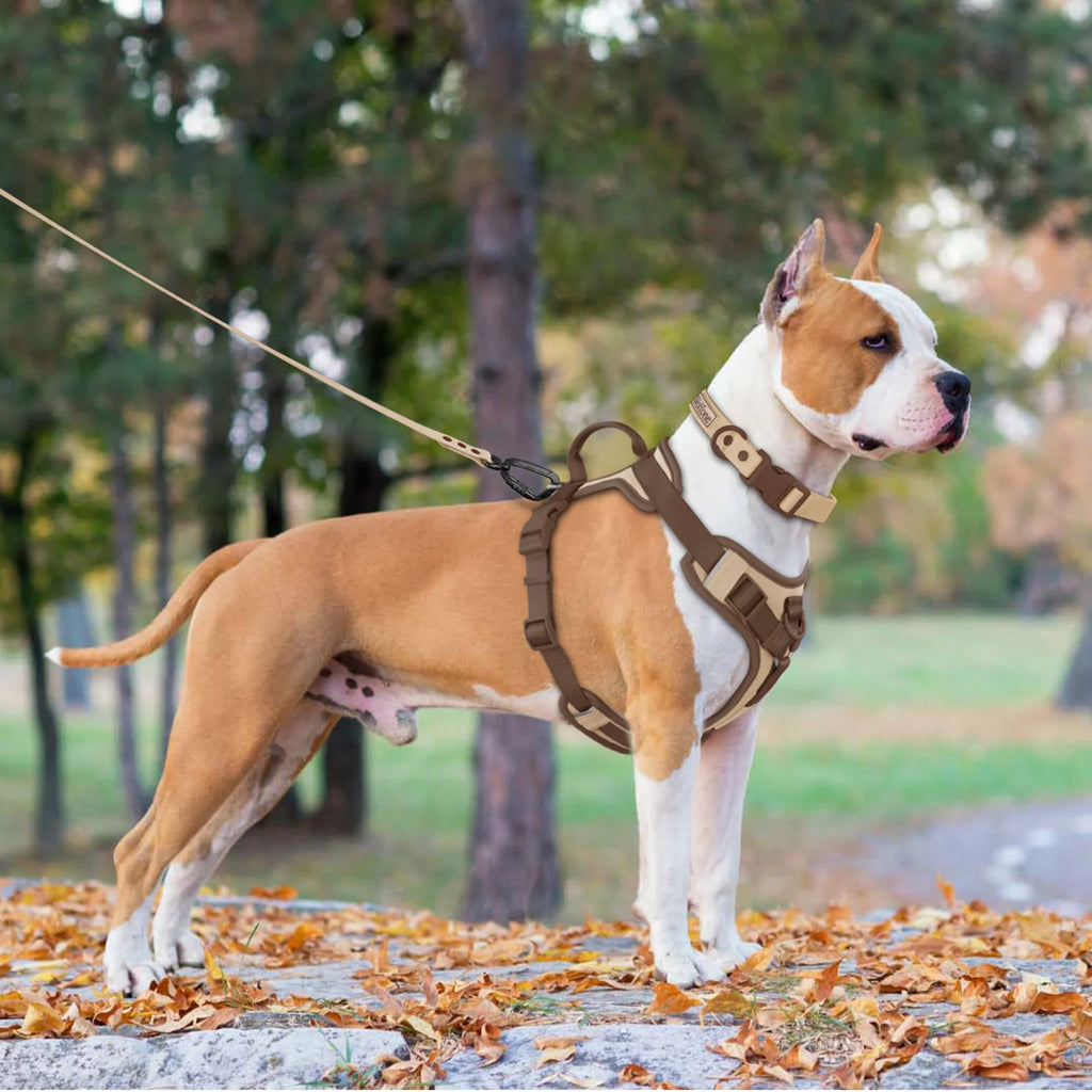 Luxury No-Pull Dog Harness | Adjustable Chest Strap | Personalized | S–XL