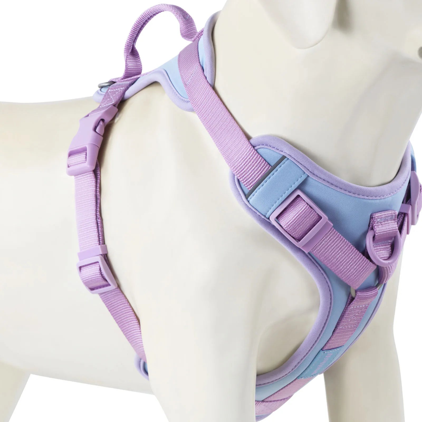 Luxury No-Pull Dog Harness | Adjustable Chest Strap | Personalized | S–XL
