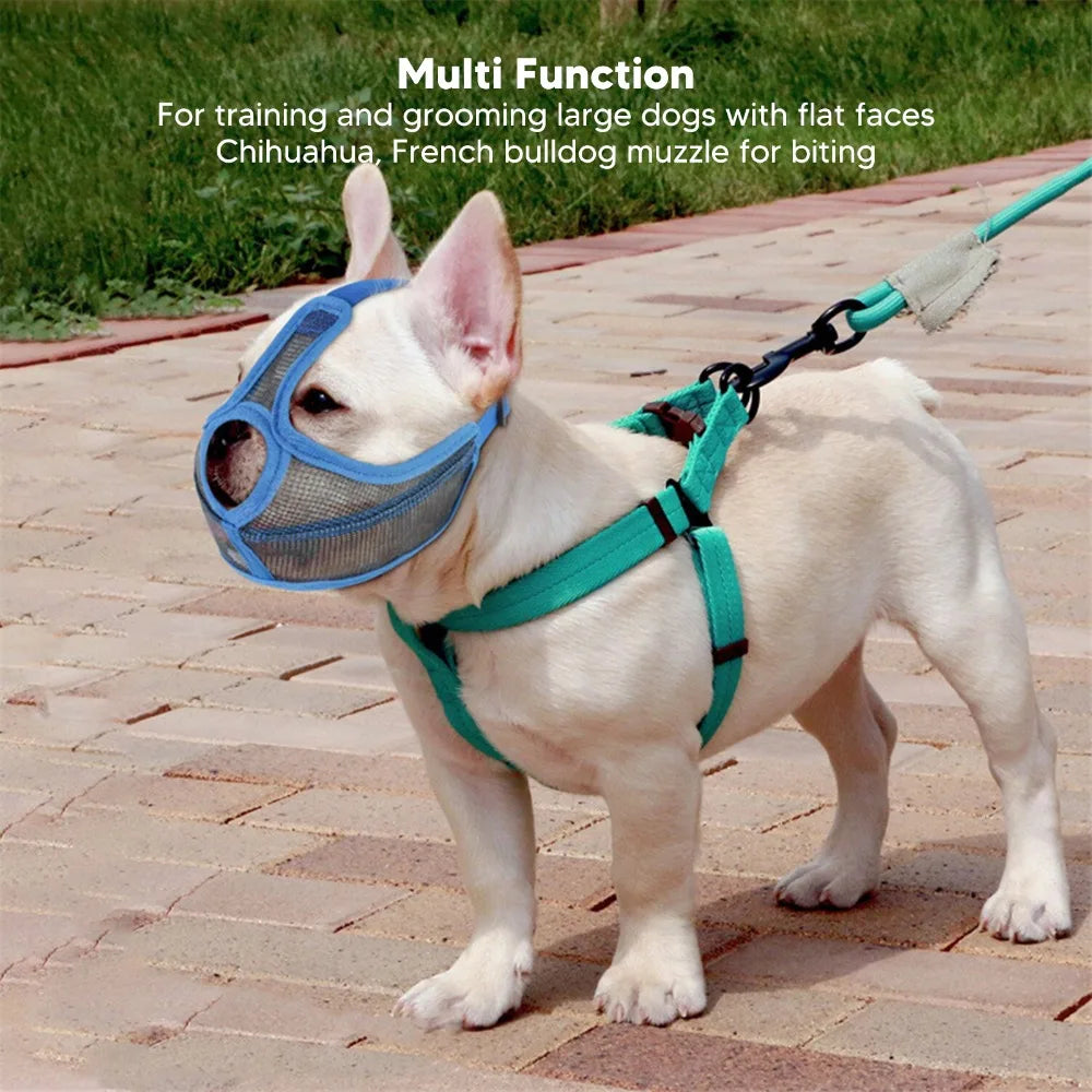 hort Snout Dog Muzzle | Breathable & Adjustable for Bulldogs, Pugs & Flat-Faced Breeds