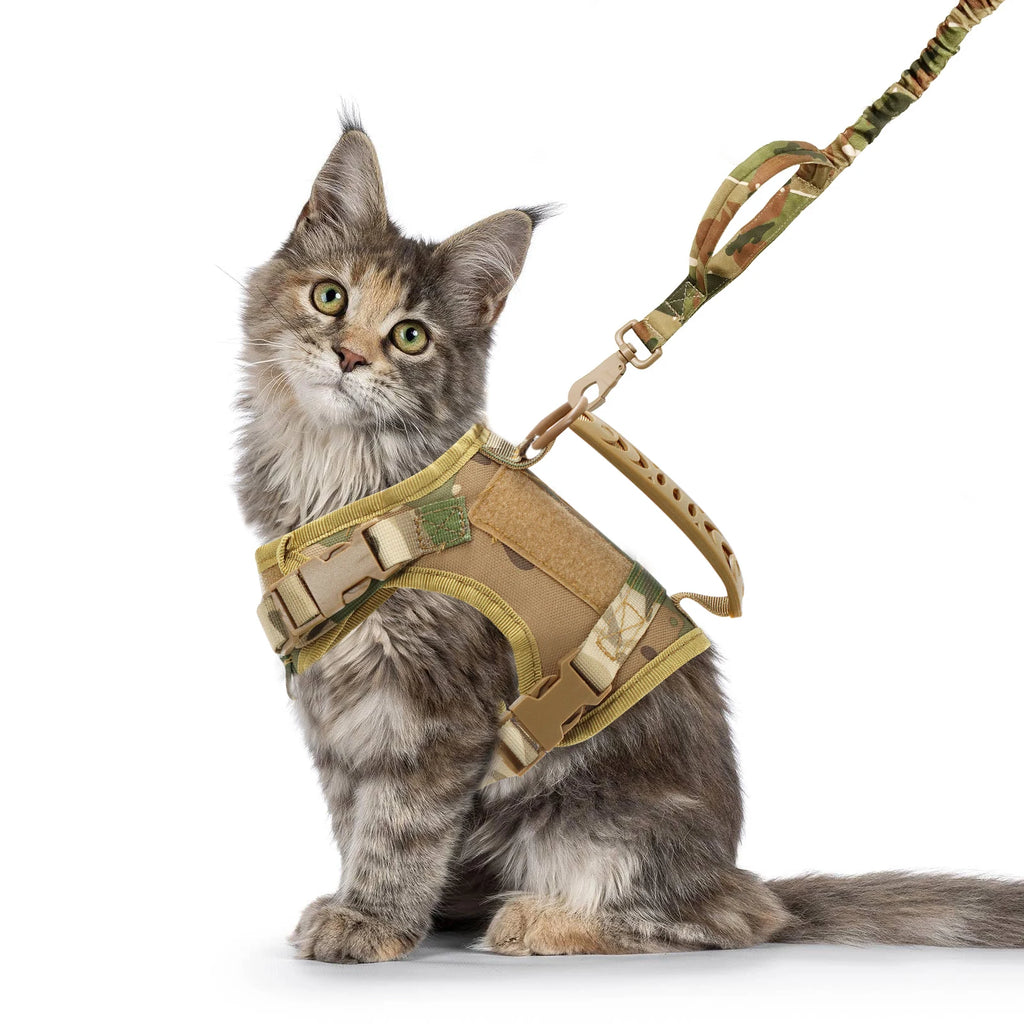 Tactical Cat Harness and Leash Set | Escape-Proof Mesh Vest, One Size Fits All