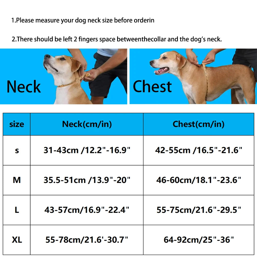 Luxury No-Pull Dog Harness | Adjustable Chest Strap | Personalized | S–XL