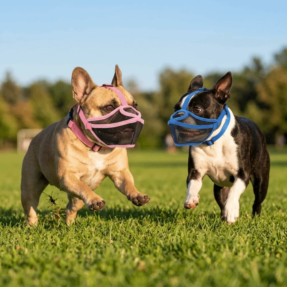 hort Snout Dog Muzzle | Breathable & Adjustable for Bulldogs, Pugs & Flat-Faced Breeds