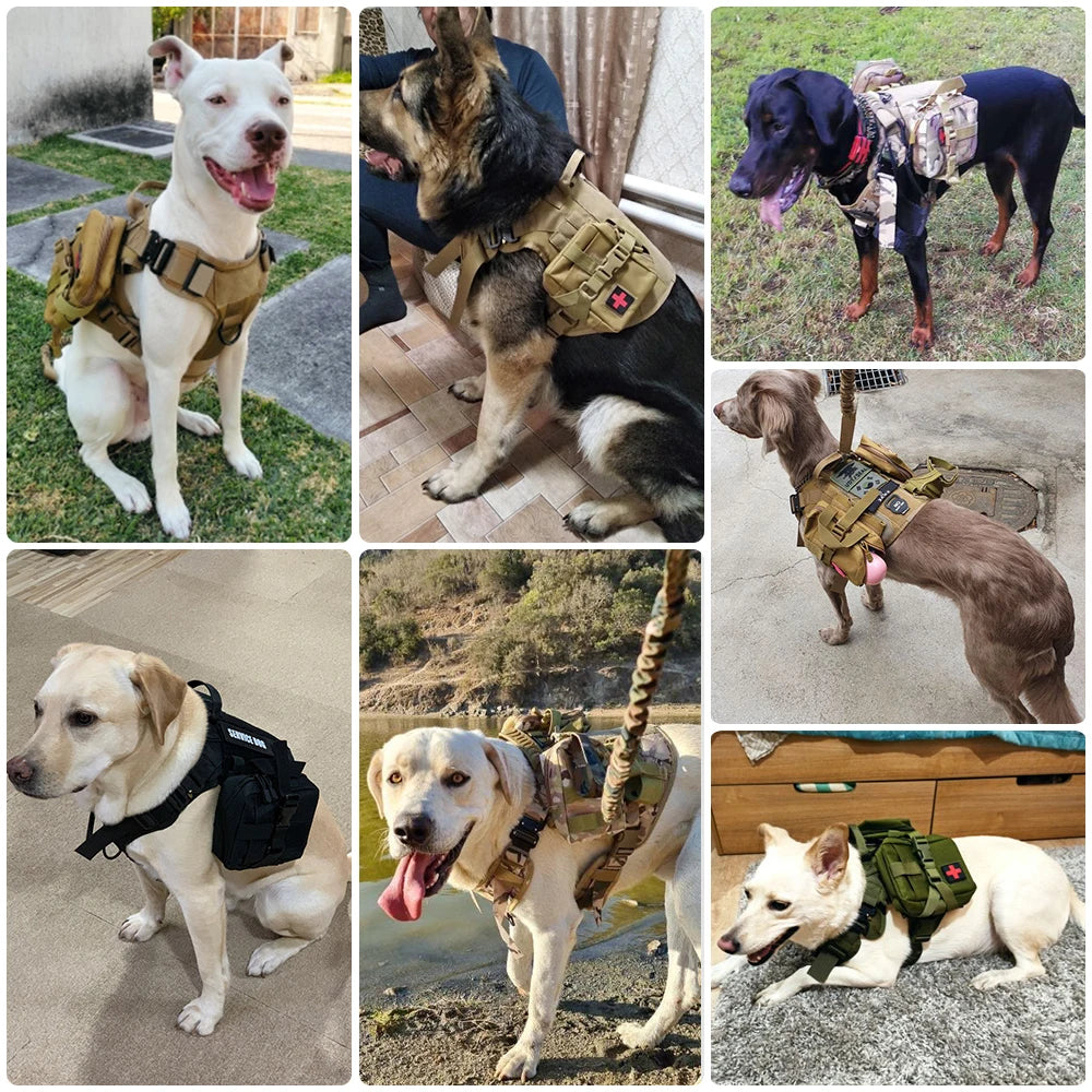 Tactical Dog Harness and Leash Set | Heavy-Duty Military Nylon Vest with Quick Release